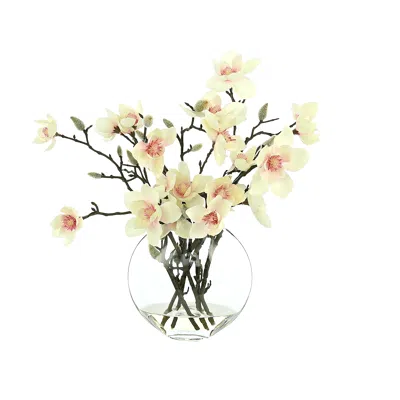 Creative Displays Butterfly Magnolia Floral Arrangement In A Clear Glass Vase