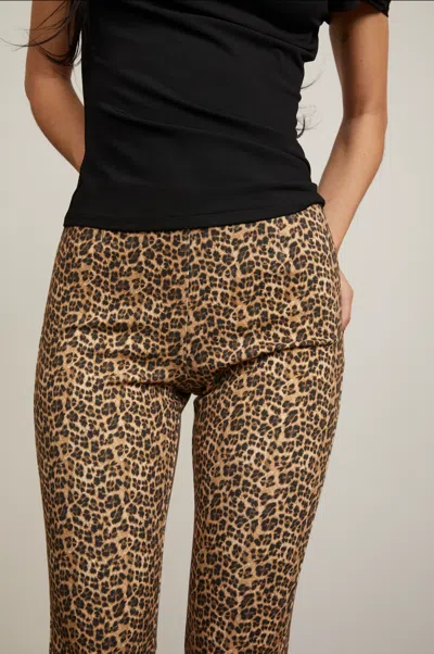 Fw24 Emma Capri In Leopard