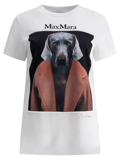 Shop Max Mara Printed Jersey T Shirt