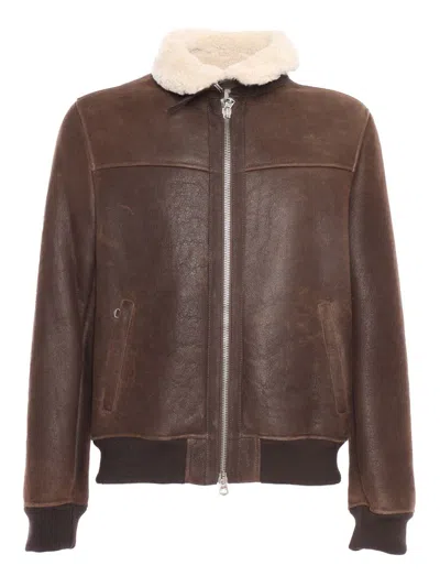 Stewart Giubbotto Garland Shearling In Brown