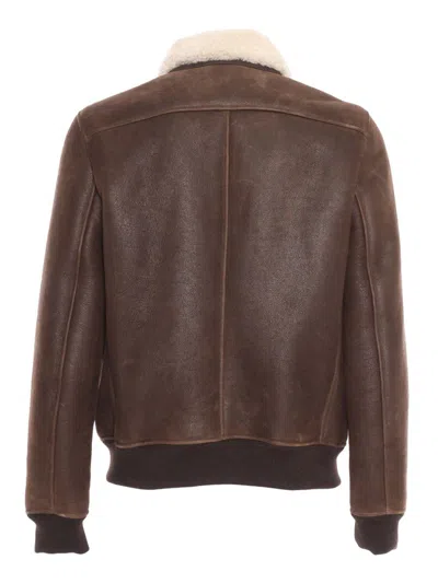 Stewart Giubbotto Garland Shearling In Brown