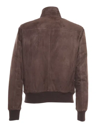 Stewart Jacket With Double Slider Zip, Barracuda Collar With 2buttons, In Brown