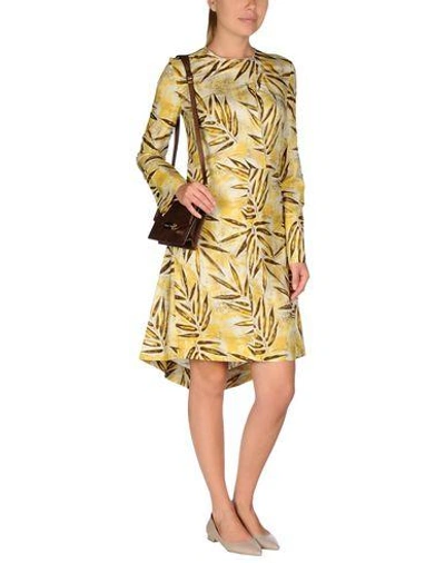 Shop Marni Knee-length Dress In Yellow