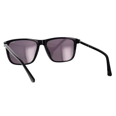 Lozza Sunglasses In Black