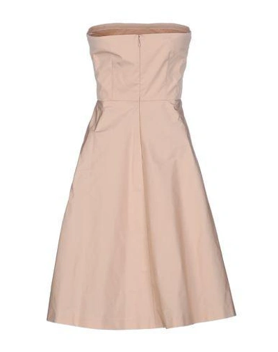 Shop Red Valentino Redvalentino In Pale Pink