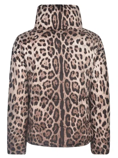 Shop Dolce & Gabbana Coats