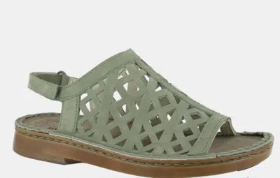 Naot Women's Amadora Sandal In Sage Nubuck In Green