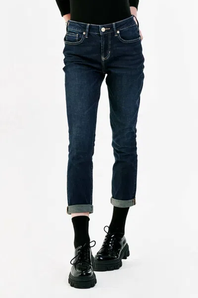 DEAR JOHN DENIM AIDEN SKINNY JEANS IN AVONDALE 