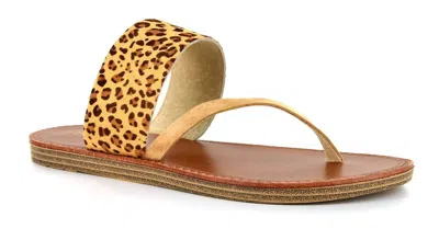 Corkys Footwear Women's Camilla Sandal In Leopard In Brown