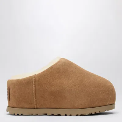 Ugg Flats