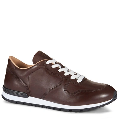 Shop Tod's Sneakers In Leather In Brown