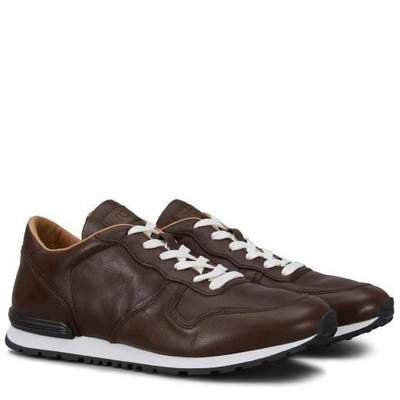 Shop Tod's Sneakers In Leather In Brown