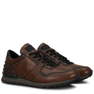 Shop Tod's Sneakers In Leather In Black,brown