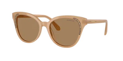 Swarovski Crystal-embellished Oversized Sunglasses In Brown Transition