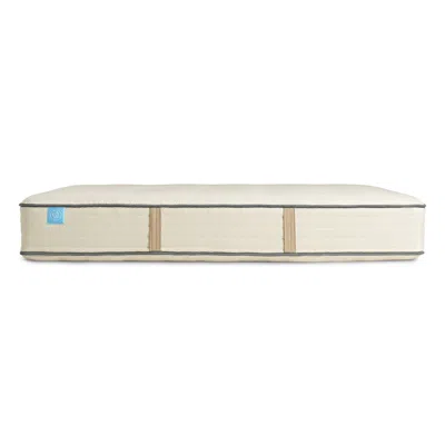 Shop Blu Dot Natural Hybrid Mattress In White