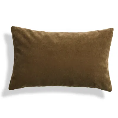 Blu Dot Signal Velvet 20" X 13" Lumbar Pillow In Moss Velvet