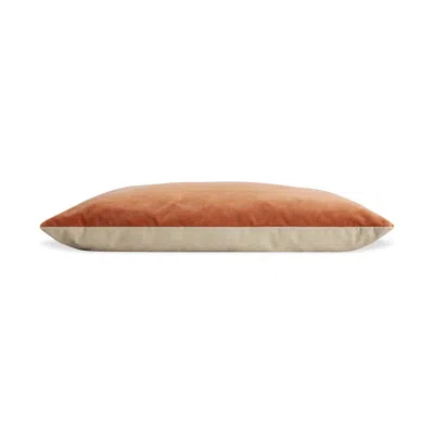 Blu Dot Signal Small Dog Bed In Copper Velvet