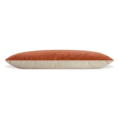 Blu Dot Signal Large Dog Bed In Copper Velvet