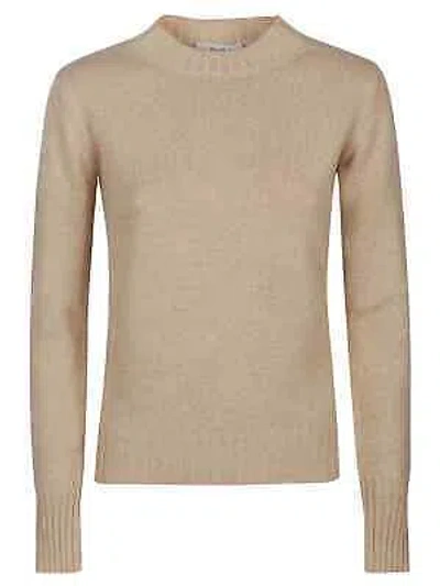 Pre-owned Max Mara Omelia Sweater S In Miele