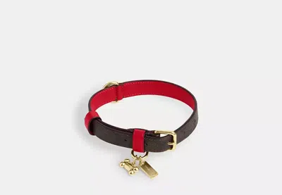 Coach Outlet Boxed Medium Pet Collar In Signature Canvas In Brown