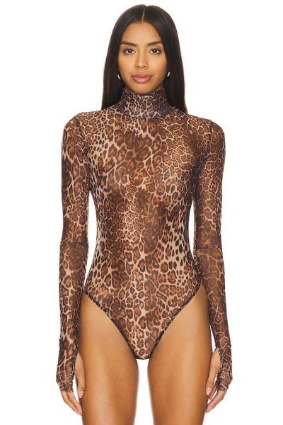 Superdown Twila Sheer Bodysuit In Leopard
