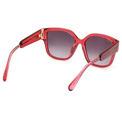 Max & Co Max&co Sunglasses In Pink