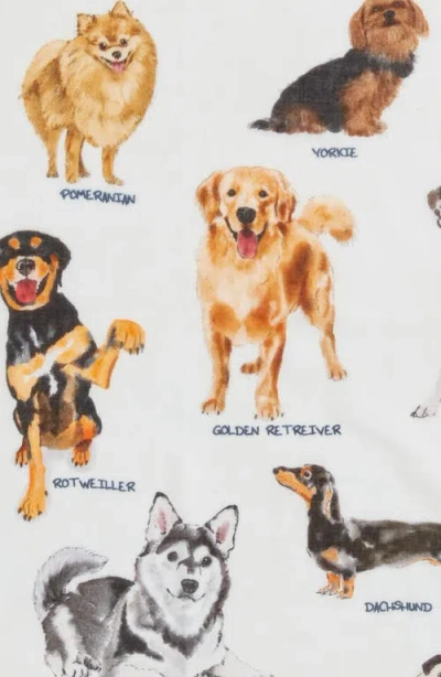 Echo Dog Days Bandana In Navy