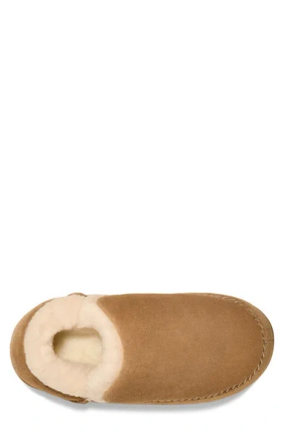 Ugg(r) Anders Wool Slipper In Chestnut