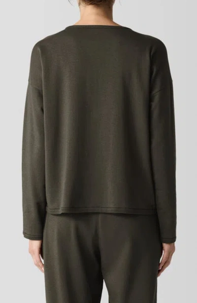 Eileen Fisher Crewneck Long Sleeve Crop Top In Wren