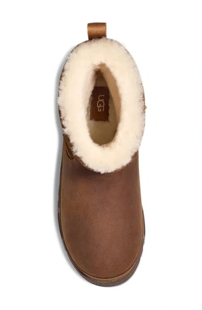 Ugg(r) Heritage Trailgazer Waterproof Genuine Shearling & Wool Boot In Chestnut