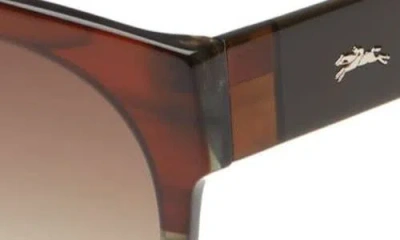Longchamp 53mm Gradient Round Sunglasses In Brown/sage/khaki Gradient