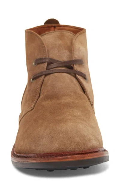 Shop Allen Edmonds Chandler Chukka Boot In Hickory Suede