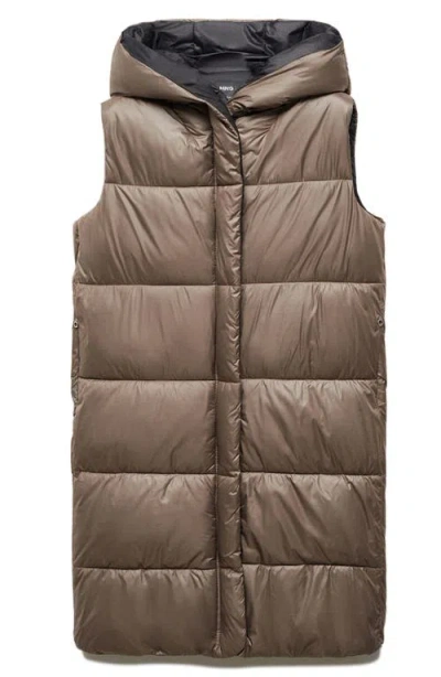Mango Long Quilted Water Repellent Hooded Puffer Vest In Medium Brown