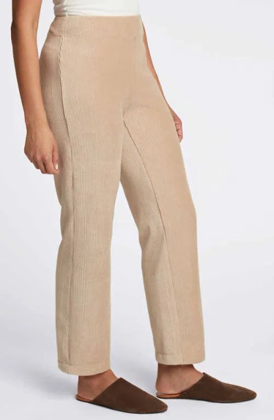 Foxcroft Caden Plush Corduroy Pants In Khaki