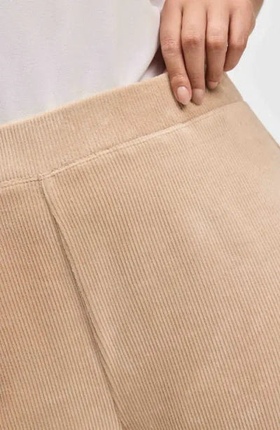 Foxcroft Caden Plush Corduroy Pants In Khaki