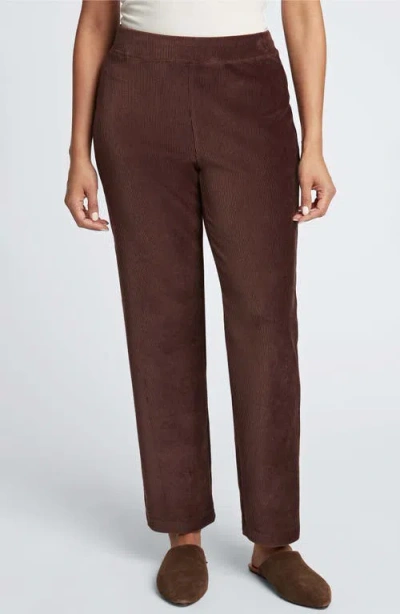 Foxcroft Caden Plush Corduroy Pants In Chocolate