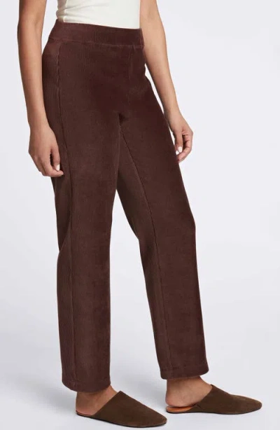 Foxcroft Caden Plush Corduroy Pants In Chocolate