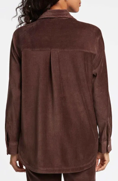 Foxcroft Maddy Plush Corduroy Button-up Shirt In Chocolate