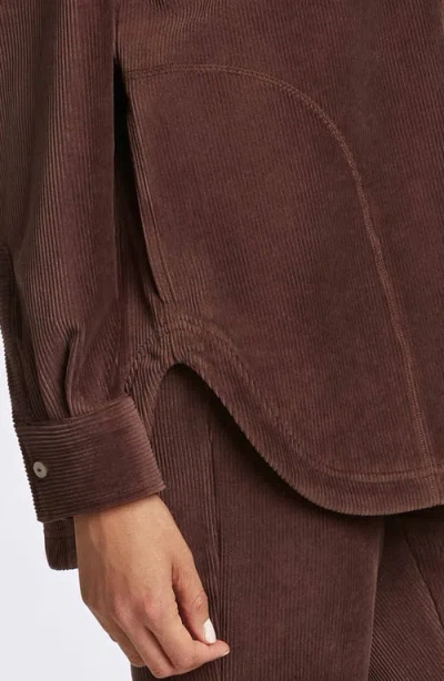 Foxcroft Maddy Plush Corduroy Button-up Shirt In Chocolate