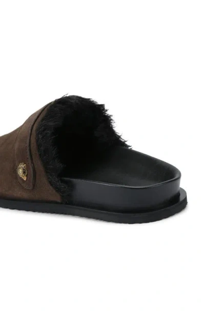 Shop Kurt Geiger London Hatton Faux Fur Lined Mule In Brown