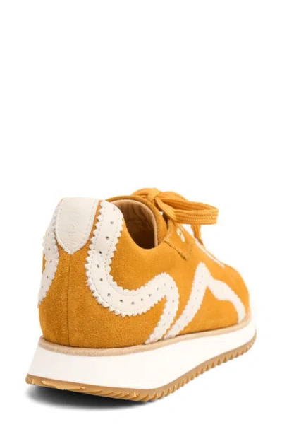 The Office Of Angela Scott The Remi Perforated Suede Low-top Sneakers In Marigold