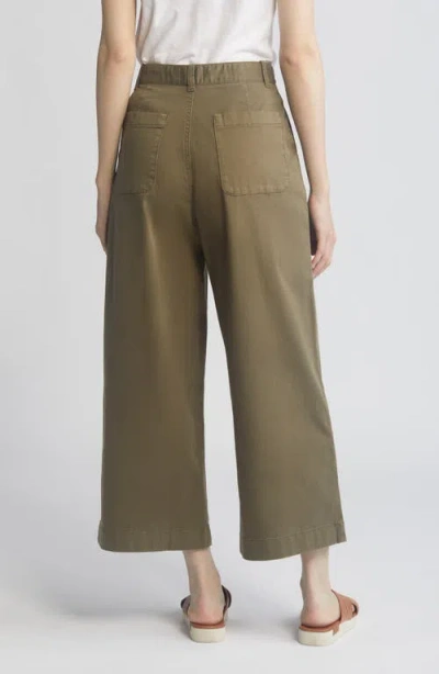 Caslon Wide Leg Twill Pants In Olive Burnt