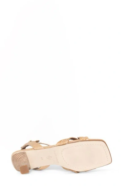 Donald Pliner Women's Croc Embossed Kitten Heel Sandals In Camel