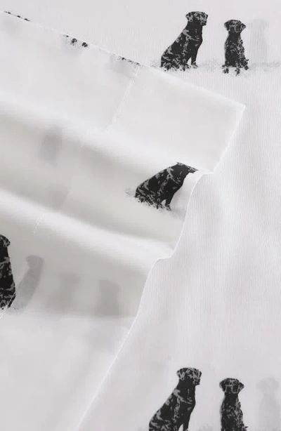 Eddie Bauer Labrador Fields 200 Thread Count 100% Cotton Percale Sheet Set In White