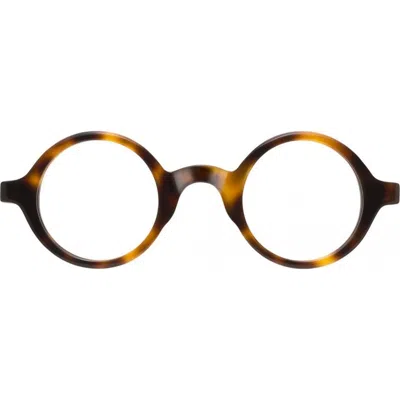 Shop Moscot Zolmanamber Tortoise De In Amber Tortoise De