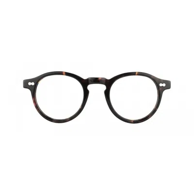 MOSCOT MILTZENTORTOISE DEMO LEN 