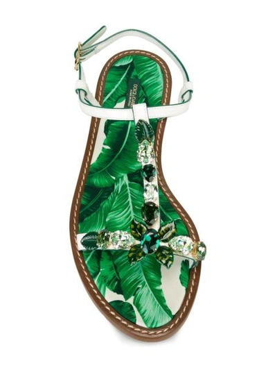 Shop Dolce & Gabbana Banana Leaf Embellished Sandals