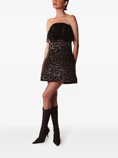 Lethicia Bronstein Caatinga Dress In Black