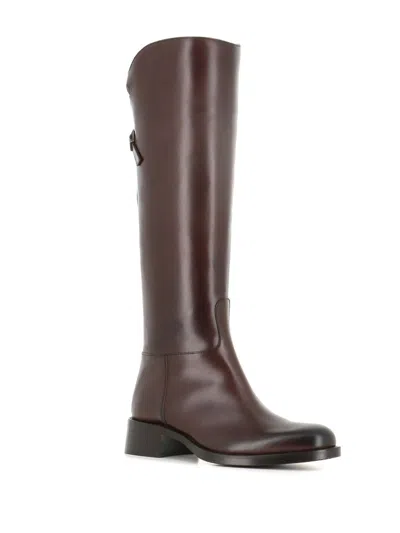 Sartore Boot Sr36001c In Brown