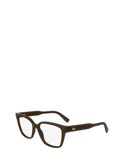 Shop Lacoste Eyeglasses In Brown